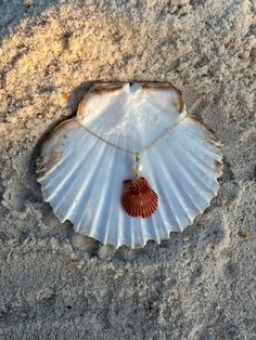 One of a kind, natural scallop and a real freshwater pearl on a dainty 14k gold-filled, hypoallergenic, tarnish resistant chain. Wire wrapped with 14k gold-filled wire. Chain is 18 inches. This shell was found on Sanibel Island, FL. You will receive the exact shell pictured. Message me with any questions or custom requests! Baroque Pearl Wire Wrapped Jewelry Gift, Gold Baroque Pearl Jewelry, Wire Wrapped, Gold Wire Wrapped Shell Necklace, Delicate Wire Wrapped Pearl Necklace As Gift, Delicate Wire Wrapped Pearl Necklace For Gift, Ocean-inspired Gold Wire Wrapped Jewelry, Shell Shaped Wire Wrapped Jewelry Gift, Wire Wrapped Shell Jewelry As Gift, Wire Wrapped Shell Jewelry For Gift