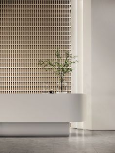 a potted plant sitting on top of a white bench in front of a wall