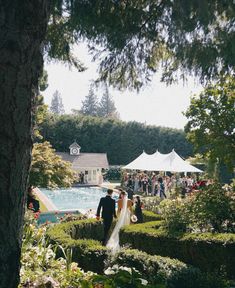 a bride and groom walk through the garden at their outdoor wedding ceremony in front of a swimming pool