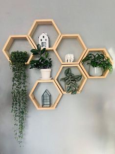 hexagonal wooden shelves with plants and houseplants on them against a gray wall