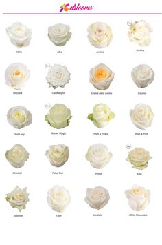 the different types of flowers are shown in this poster