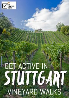 a vineyard with the words get active in stuittgartt winery walks on it