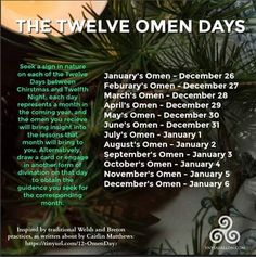 an advertisement for the twelve days of christmas with pine needles and evergreens on it