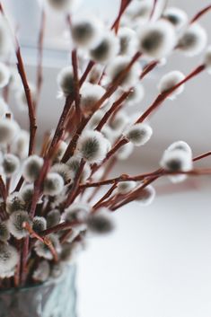 some white flowers are in a glass vase