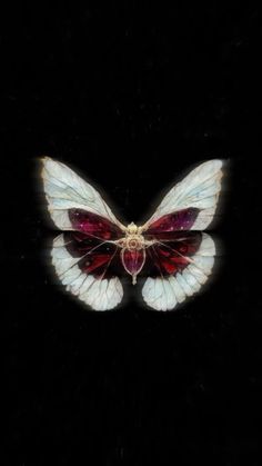 a white and red butterfly on a black background