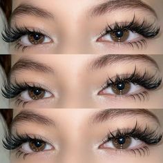 Eye Lash Style, Eyelash Extentions