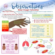 an overview of the blood oxygen saturation process and its effects on the body