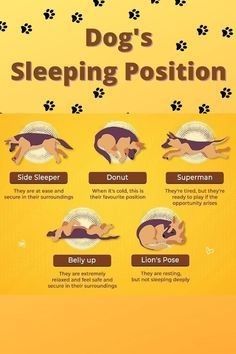 a dog's sleeping position is shown in this graphic above the instructions for how to use it