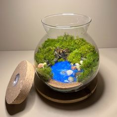 a glass vase filled with green moss and rocks on top of a table next to a cork coaster