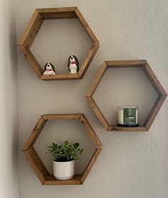 three wooden hexagonal shelves with plants in them and two small bird figurines on each shelf