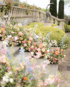 colorful flowers are growing in the middle of a garden