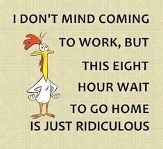 a cartoon chicken saying i don't mind coming to work, but this eight hour wait