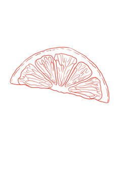 a drawing of a slice of orange