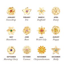 an assortment of different types of rings and brooches on a white background with the names of each ring