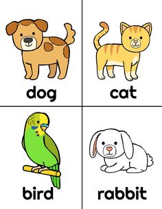 four pictures with different types of animals and letters that spell out the word dog, cat, bird, rabbit