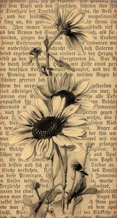 an old book page with sunflowers and birds sitting on top of each other