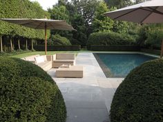 an outdoor pool with lounge chairs and umbrellas next to it, surrounded by hedges