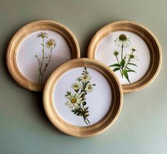 three plates with pressed wildflowers in them on a table next to a wall