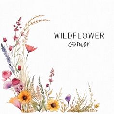 the wildflower corner logo with watercolor flowers and grasses on it's side