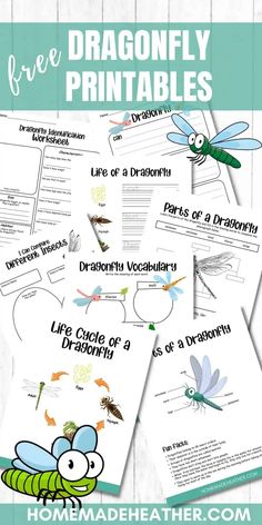 dragonfly printables for kids to learn how to use them as an activity