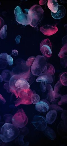 jellyfish floating in the water at night