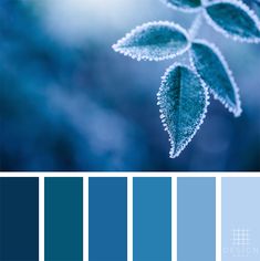 a blue color palette with some green leaves