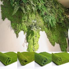 green moss growing on the side of a wall next to rolled up sheets of fabric