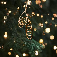 a christmas ornament hanging from a tree