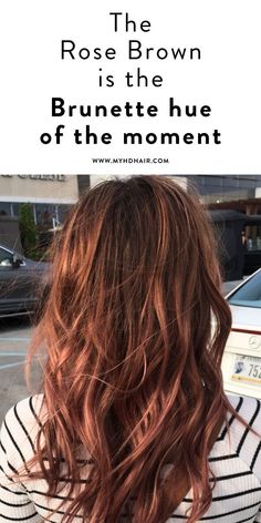 The Rose Brown is the Brunette hue of the moment. Brunette Color, Light Hair Color, Hair Envy, Cool Hair Color, Grunge Hair, Brown Hair Colors