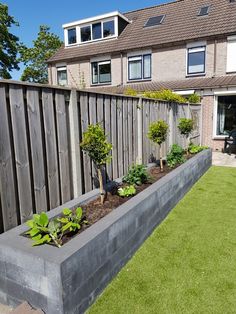 a long concrete planter filled with plants next to a fenced in backyard area