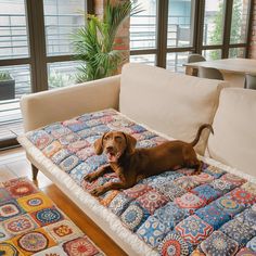 a brown dog laying on top of a multicolored couch in a living room