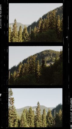 three different shots of trees in the mountains