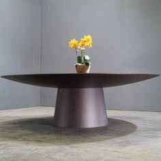 a potted plant sitting on top of a table with yellow flowers in the center