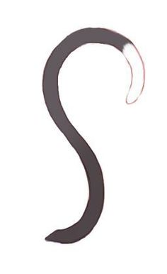 the letter s is made up of black curved plastic and sits on a white surface