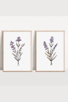 two framed art prints with lavender flowers on them