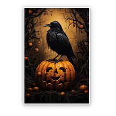 a crow sitting on top of a pumpkin