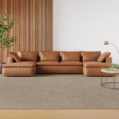 a living room with a couch, coffee table and plant in the corner on the floor