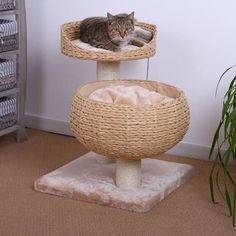 a cat laying on top of a scratching post