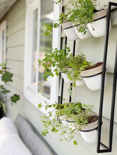 several potted plants are hanging on the side of a house's window sill