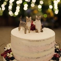 two cats figurines on top of a white cake with berries and raspberries