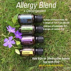 Doterra Diffuser Blends For Sinus Congestion, Essential Oils Allergies, Sinus Remedies, Esential Oils, Roller Blends, Doterra Diffuser Blends