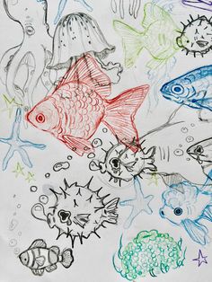 an image of children's drawing of fish