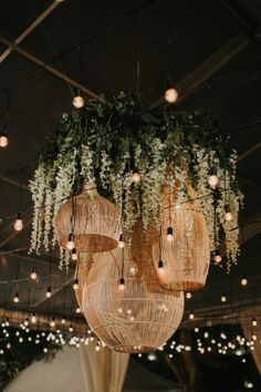 some lights hanging from the ceiling with plants growing on them and flowers all over it