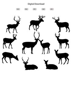 the silhouettes of deer are shown in black and white