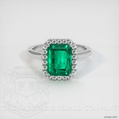 Emerald Ring 2.28 Ct. Platinum 950 | The Natural Emerald Company Luxury Platinum Emerald Ring For May Birthstone, Luxury White Gold Platinum Emerald Ring, Formal Platinum Emerald-cut Emerald Ring, Formal Emerald-cut Platinum Emerald Ring, Luxury Heirloom Platinum Emerald Ring, Green Emerald Ring, Step Cut, Rare Gems, Rare Gemstones