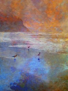 three birds are standing on the beach in front of an orange and blue sky with clouds