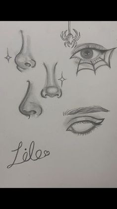 a drawing of different eyes and nose shapes