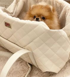 Our newest luxury dog bag design! This soft bed bag carrier comes with a removable mini blanket and safety hook for your pup. This luxurious quilted faux leather and faux fur bag is the perfect way to carry your little prince or princess around town. Made in Italy 18in x 12in x 12 in Dog In Purse, Dog Purse Carrier, Purse Dog, Dog Travel Carrier, Dog Carrier Purse, Cute Husky Puppies, Puppy Bag, Small Dog Carrier, Mini Blanket