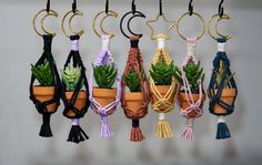 a group of hanging planters filled with succulents and other decorative items