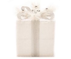 a white gift bag with feathers on the top and ribbon at the bottom that is tied in a bow